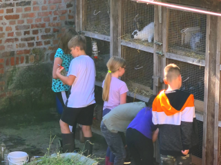 Othal Klasse 4