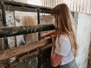 Othal Klasse 4