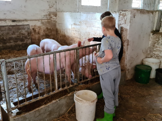 Othal Klasse 4